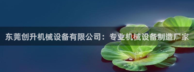 杏盛平台：东莞创升机械设备有限公司：专业机械设备制造厂家