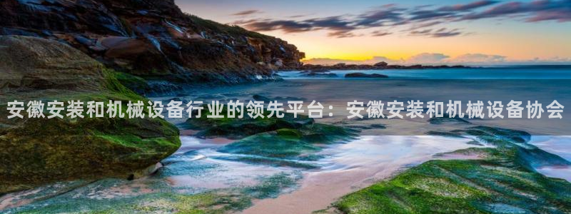 杏盛平台官网