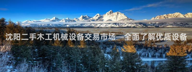 杏盛平台代理注册：沈阳二手木工机械设备交易市场—全面了解优质设备
