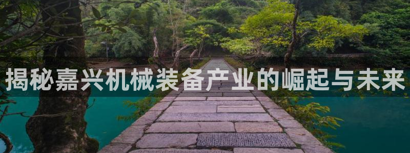 杏盛平台：揭秘嘉兴机械装备产业的崛起与未来