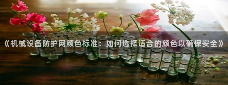 杏盛平台代理注册：《机械设备防护网颜色标准：如何选择适合的颜色以确保安全》