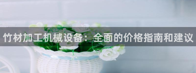 杏盛平台官网注册登录：竹材加工机械设备：全面的价格指南和建议