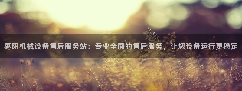 杏盛代理：枣阳机械设备售后服务站：专业全面的售后服务，让您设备运行更稳定