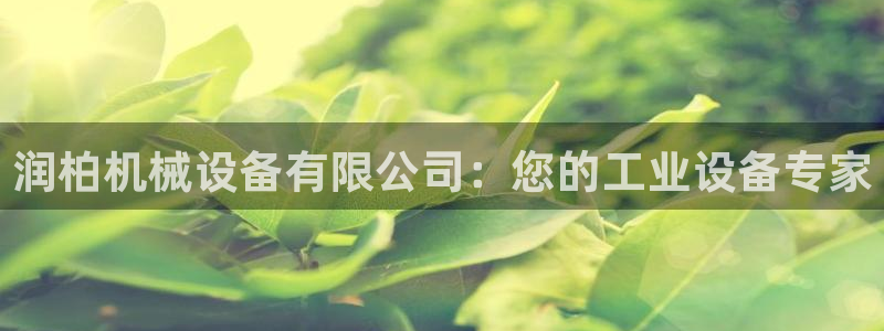 杏盛平台代理：润柏机械设备有限公司：您的工业设备专家