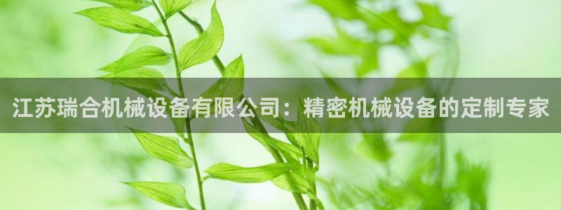 杏盛平台注册登录：江苏瑞合机械设备有限公司：精密机械设备的定制专家