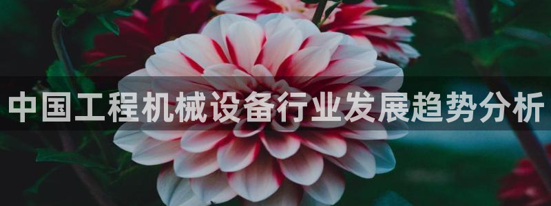 杏盛平台官网：中国工程机械设备行业发展趋势分析