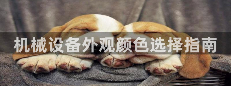 杏盛注册登录：机械设备外观颜色选择指南