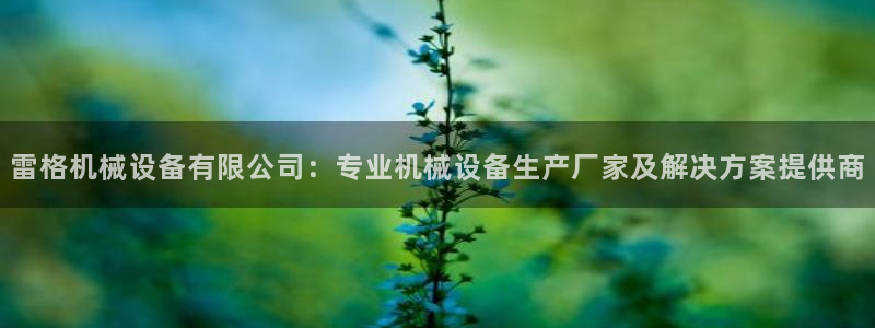 杏盛开户地址：雷格机械设备有限公司：专业机械设备生产厂家及解决方案提供商