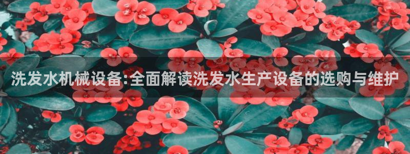 杏盛官网登录