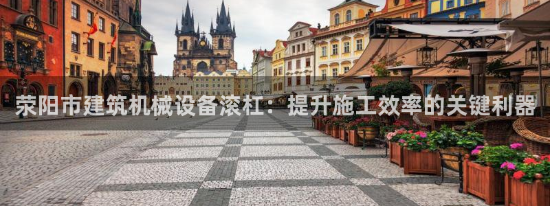 杏盛平台代理：荥阳市建筑机械设备滚杠：提