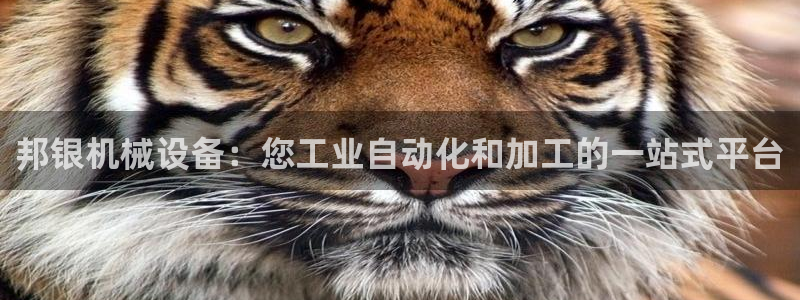 杏盛平台官网注册：邦银机械设备：您工业自动化和加工的一站式平台