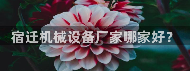 杏盛乐岳35994誓：宿迁机械设备厂家哪家好？