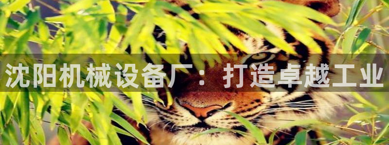 杏盛平台代理：沈阳机械设备厂：打造卓越工业