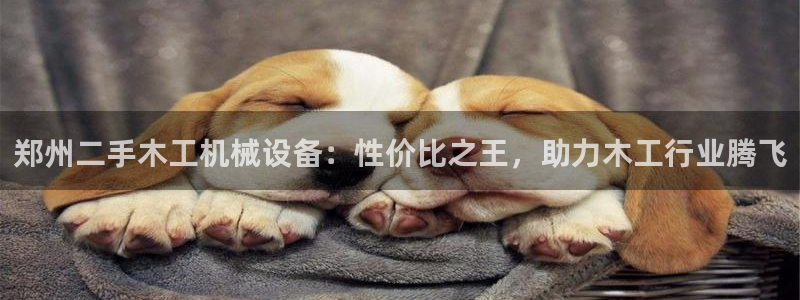 杏盛开户地址：郑州二手木工机械设备：性价比之王，助力木工行业腾飞