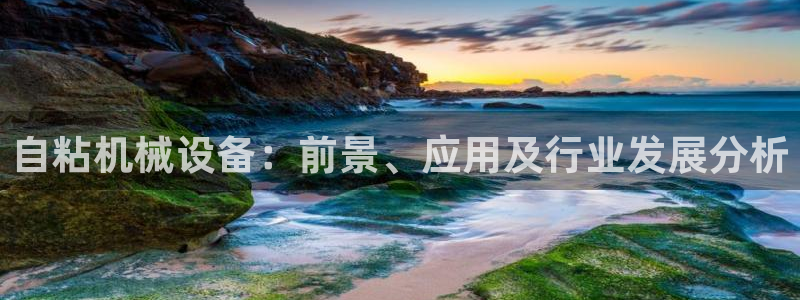 杏盛代理：自粘机械设备：前景、应用及行业发展分析