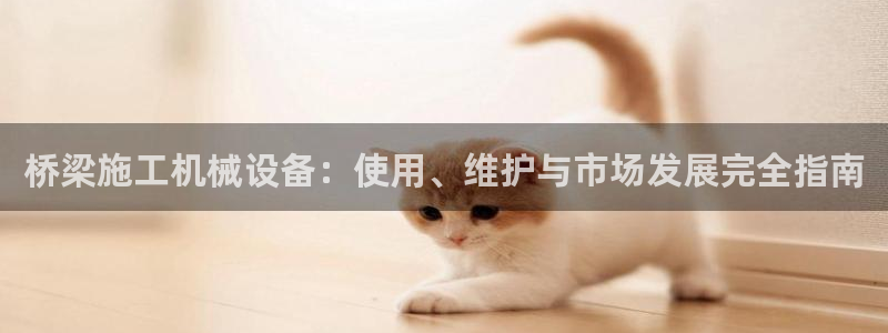 杏盛平台注册登录：桥梁施工机械设备：使用、维护与市场发展完全指南