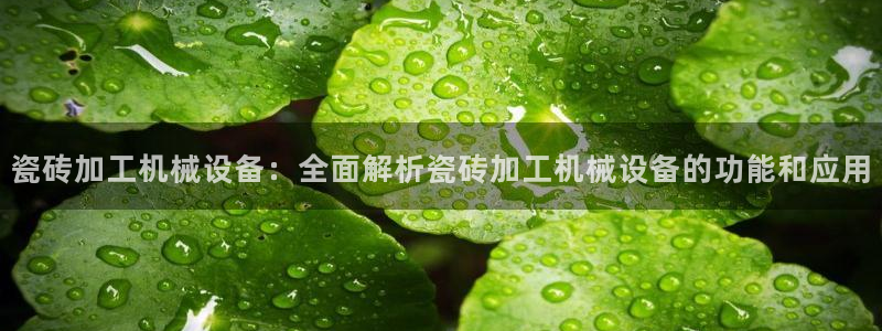杏盛主管：瓷砖加工机械设备：全面解析瓷砖加工机械设备的功能和应用