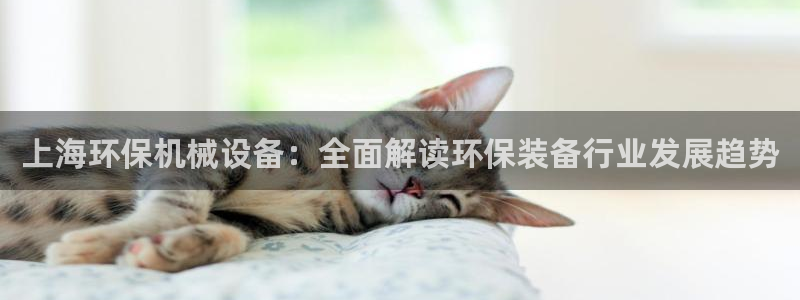 杏盛主管：上海环保机械设备：全面解读环保装备行业发展趋势