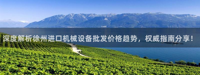 杏盛app下载：深度解析徐州进口机械设备批发价格趋势，权威指南分享！