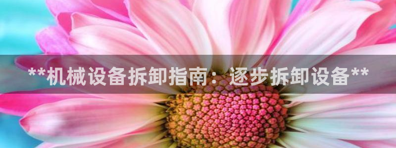 杏盛平台登录地址：**机械设备拆卸指南：逐步拆卸设备**