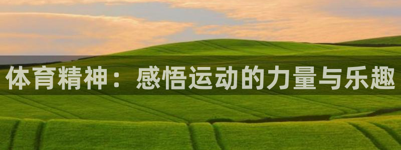 三亿体育网页版
