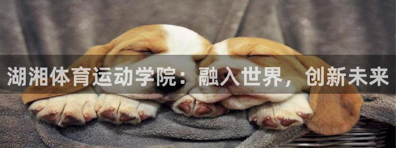 三亿体育